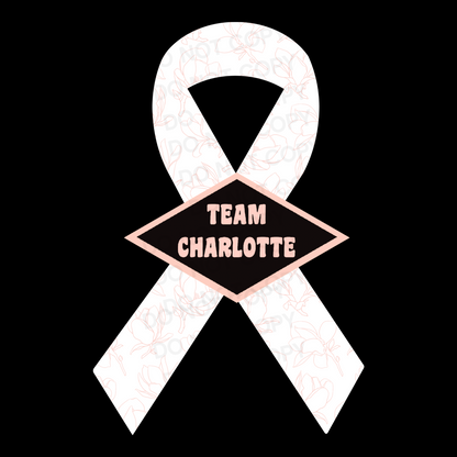 Team Charlotte Fundraiser