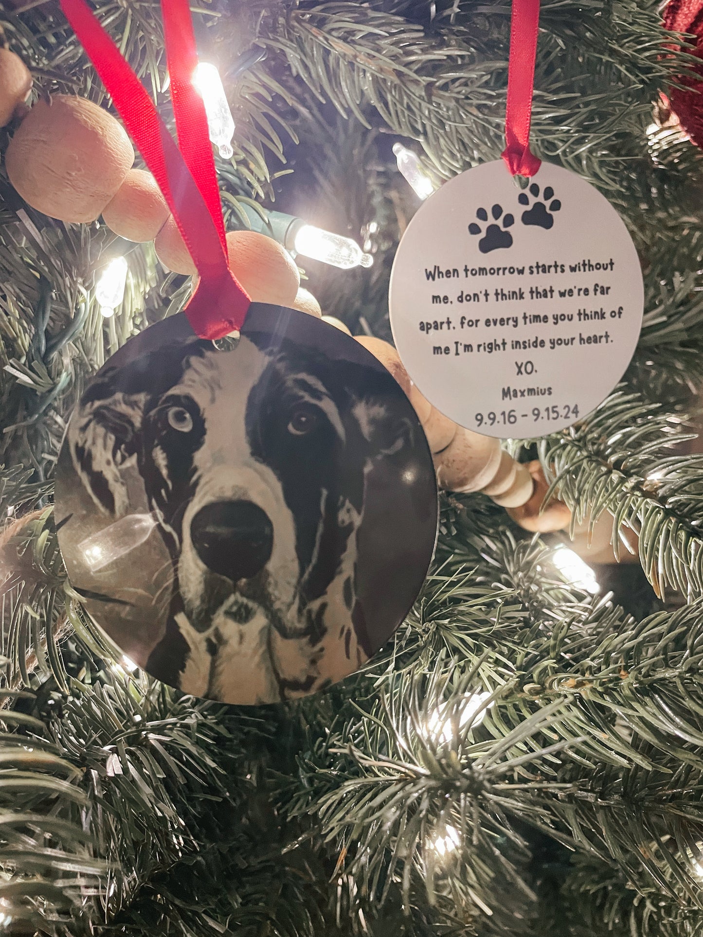 Custom Family Pet Memorial Ornament