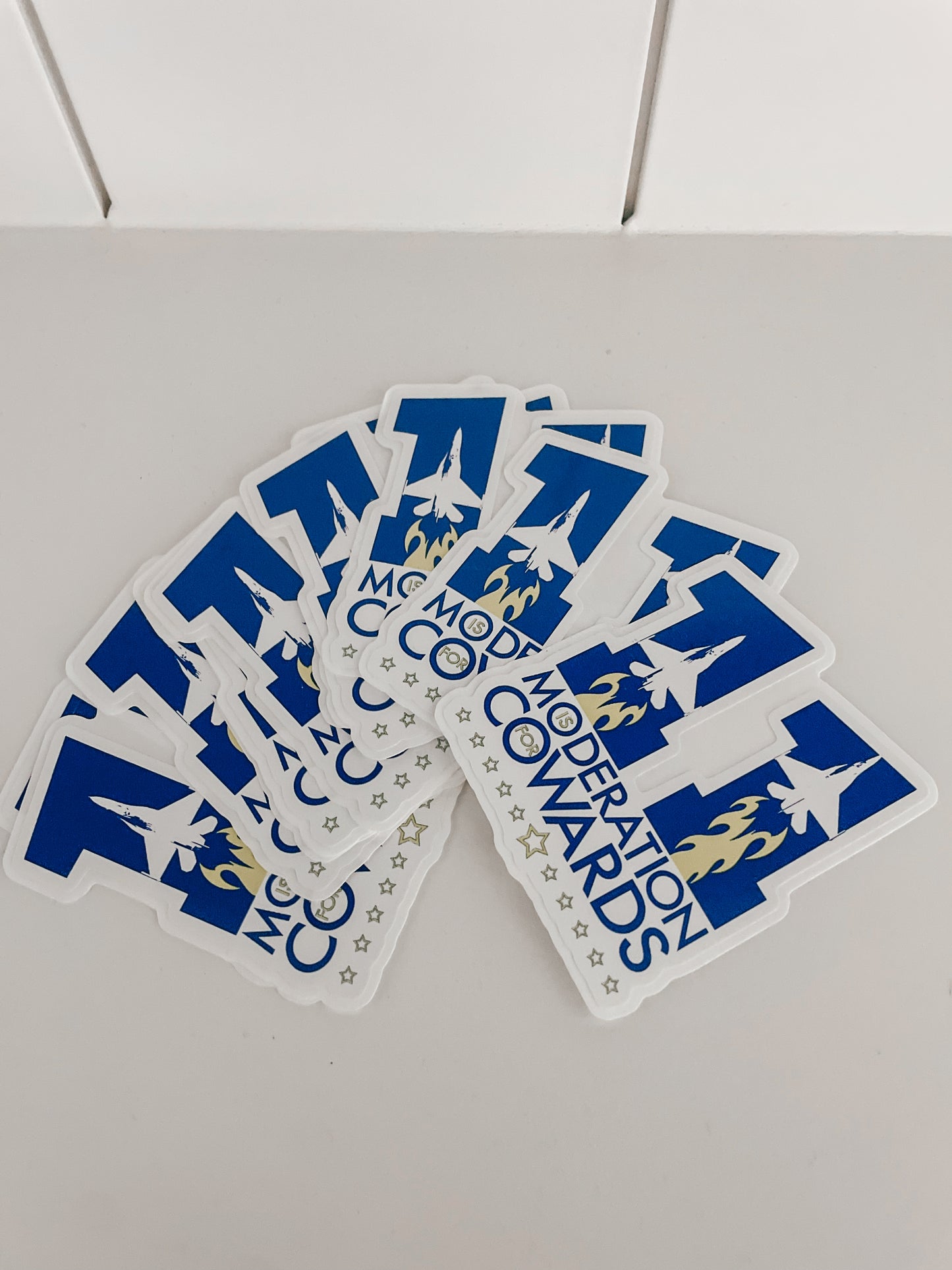 Pyro’s Wings Year 11 Stickers